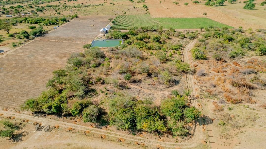 Aerial view of DCM Farm, the flagship agricultural division of DCM&F COMPANY LIMITED, in Mawala, Irole, Kilolo District, Iringa Region, Tanzania